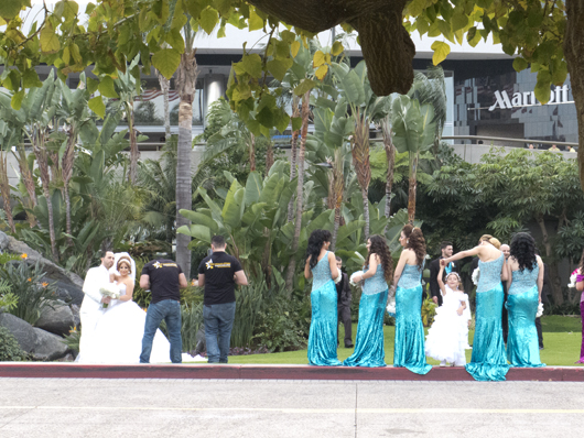 サンディエゴの結婚式