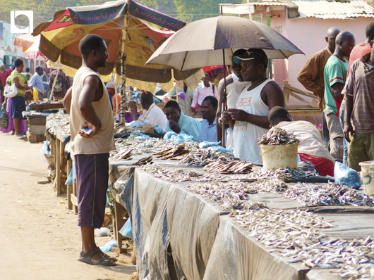 ンカタベイの魚売り場