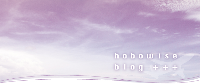 hobowise blog