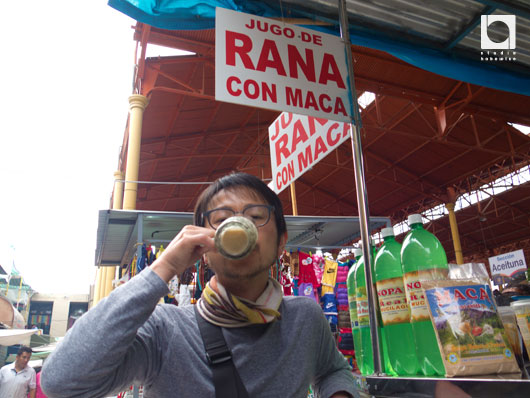 RANAはスペイン語で食用蛙の意味