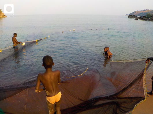 浜辺にいた全員で、魚を取るための網を引き上げた