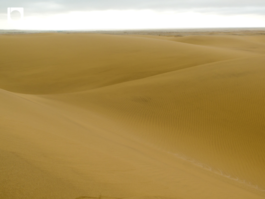 太陽が出ていないとくすんでしまうナミブ砂漠