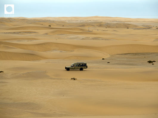 私たちの車以外もスワコプムント外れの砂漠へのツアーの車は出ているようだった