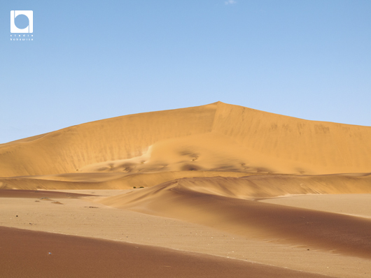 赤い砂の砂漠