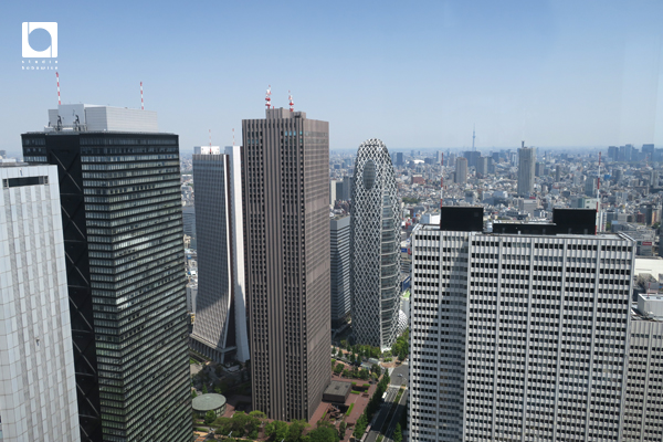 「グッドビュー東京」の窓からの景色。